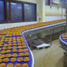 橡膠食品輸送帶 價(jià)格、批發(fā)渠道與優(yōu)質(zhì)廠家全解析